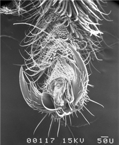 Vignette illustrant cette actualité