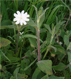 Vignette illustrant cette actualité