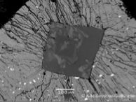 Vignette illustrant cette actualité