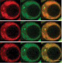 Vignette illustrant cette actualité