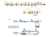 Vignette illustrant cette actualité