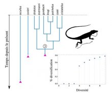 Vignette illustrant cette actualité