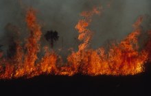 Vignette illustrant cette actualité