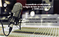 Vignette illustrant cette actualité