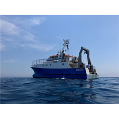 Vignette illustrant cette actualité