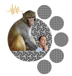 Vignette illustrant cette actualité