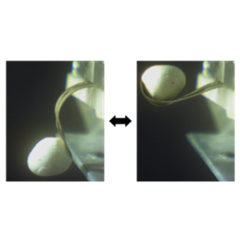 Vignette illustrant cette actualité