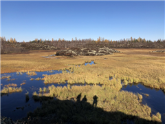 Vignette illustrant cette actualité