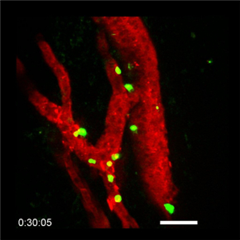 Vignette illustrant cette actualité