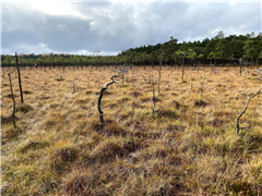 Vignette illustrant cette actualité