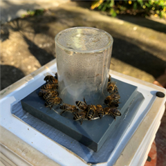 Vignette illustrant cette actualité