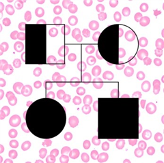 Vignette illustrant cette actualité