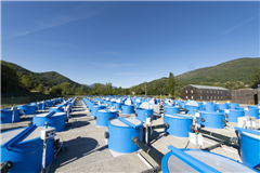 Vignette illustrant cette actualité