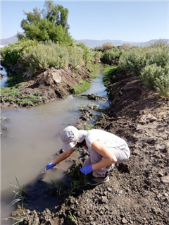 Vignette illustrant cette actualité