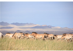 Vignette illustrant cette actualité