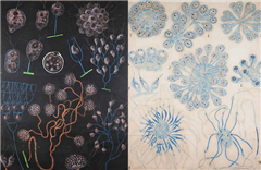 Vignette illustrant cette actualité