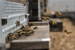 Vignette illustrant cette actualité