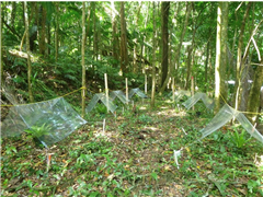 Vignette illustrant cette actualité