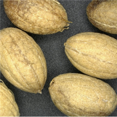 Vignette illustrant cette actualité