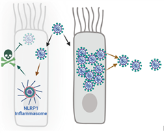 Vignette illustrant cette actualité