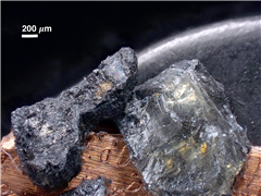 Vignette illustrant cette actualité