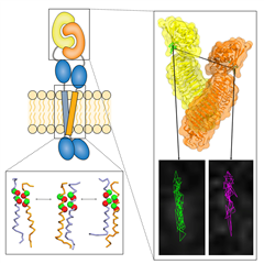 Vignette illustrant cette actualité