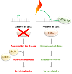 Vignette illustrant cette actualité