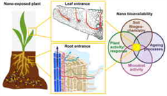 Vignette illustrant cette actualité