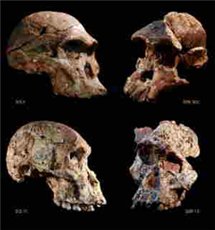 Vignette illustrant cette actualité