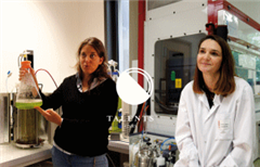 Vignette illustrant cette actualité