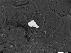 Vignette illustrant cette actualité