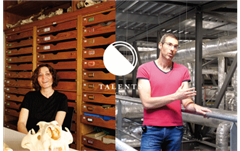 Vignette illustrant cette actualité