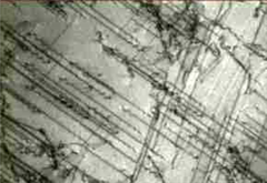 Vignette illustrant cette actualité