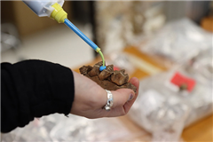 Vignette illustrant cette actualité