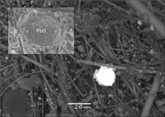 Vignette illustrant cette actualité