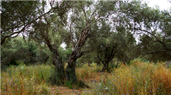 Vignette illustrant cette actualité