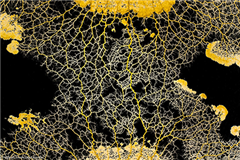 Vignette illustrant cette actualité