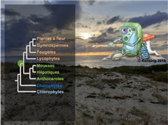 Vignette illustrant cette actualité