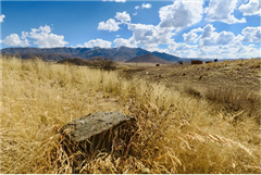 Vignette illustrant cette actualité