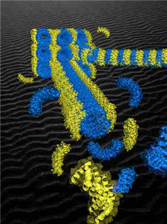 Vignette illustrant cette actualité