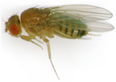 Vignette illustrant cette actualité