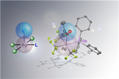 Vignette illustrant cette actualité