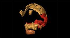 Vignette illustrant cette actualité