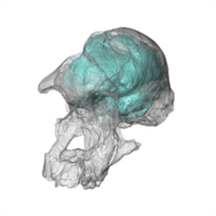 Vignette illustrant cette actualité