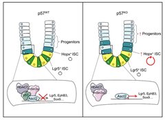 Vignette illustrant cette actualité