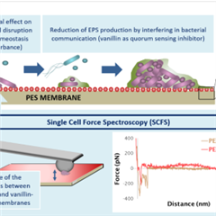 Vignette illustrant cette actualité