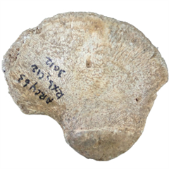 Vignette illustrant cette actualité