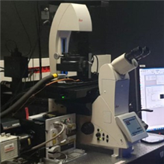 Vignette illustrant cette actualité