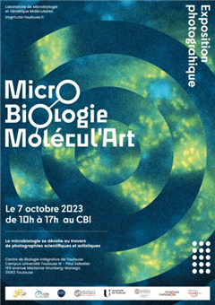 Vignette illustrant cette actualité