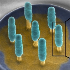 Vignette illustrant cette actualité